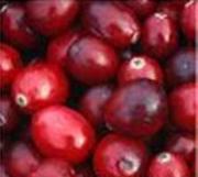 Cranberry y cistitis